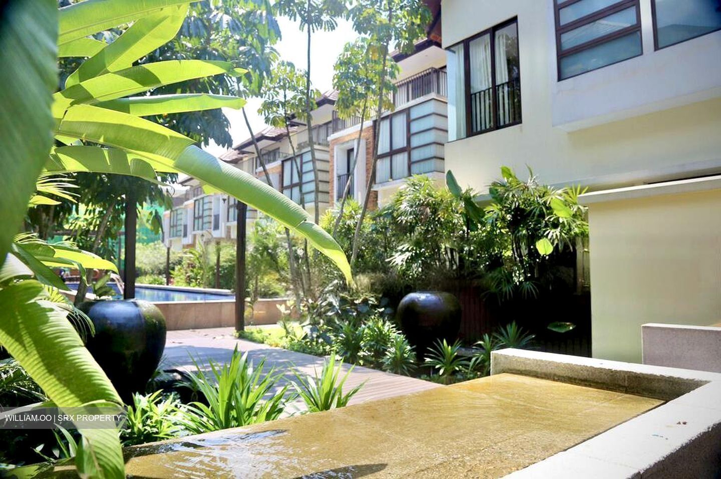 Lornie Road (D11), Terrace #458709401